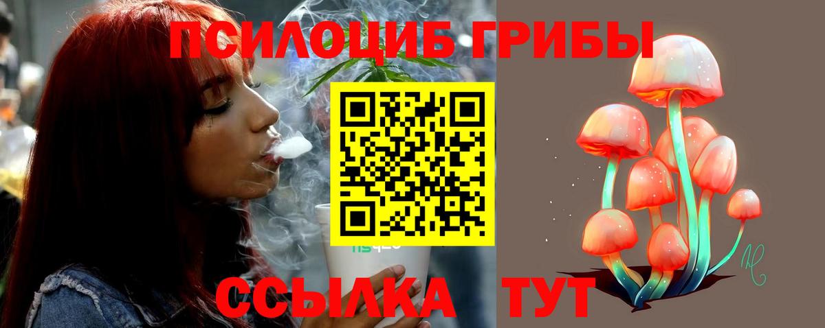Псилоцибиновые грибы Magic Shrooms Рубцовск